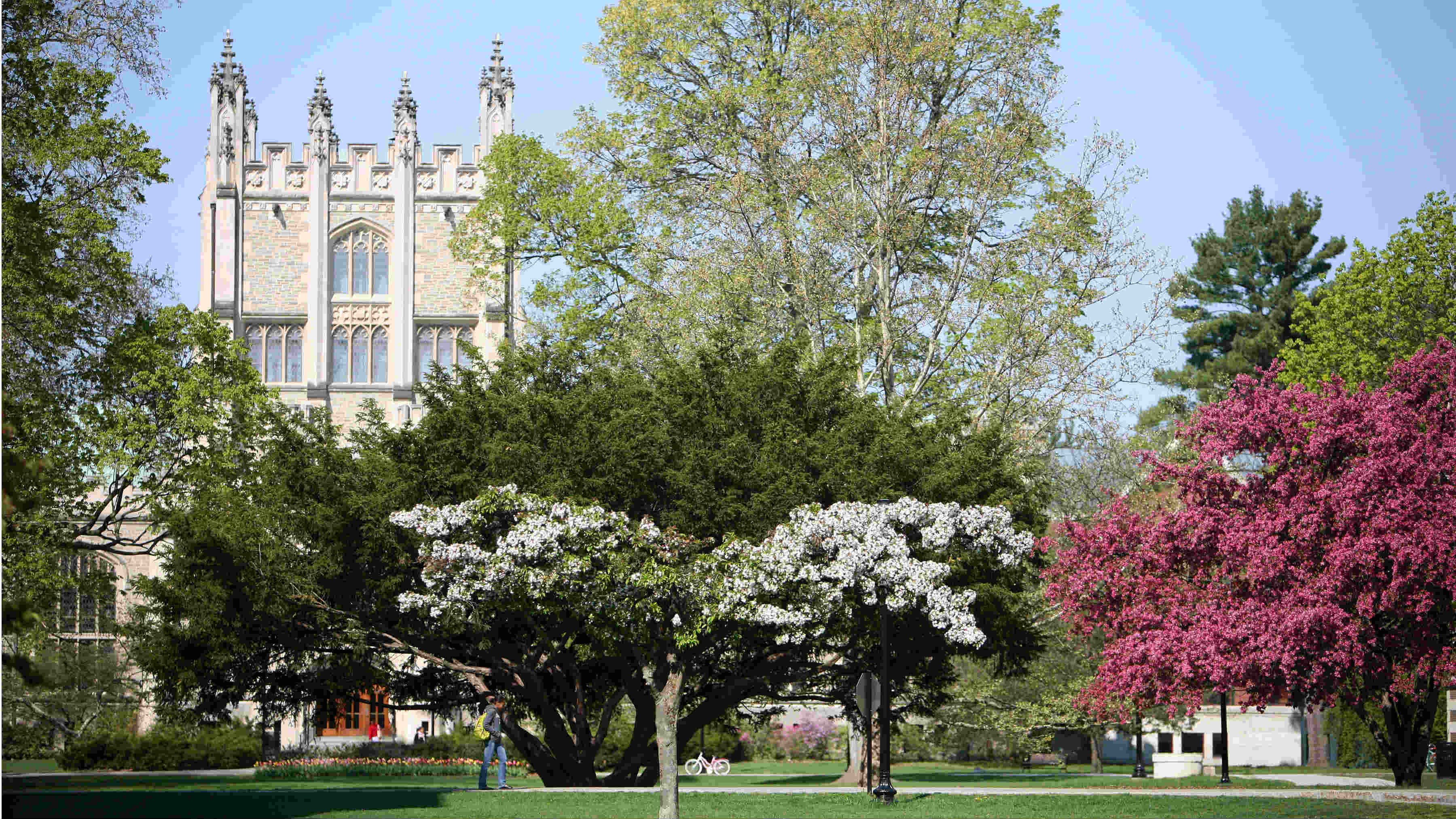 The Vassar alumnae/i network on Alumnifire Alumnifire for Vassar