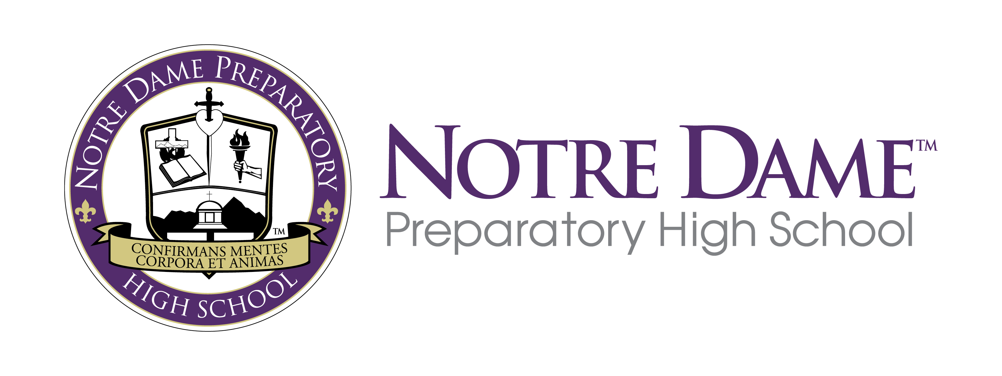 NDP logo