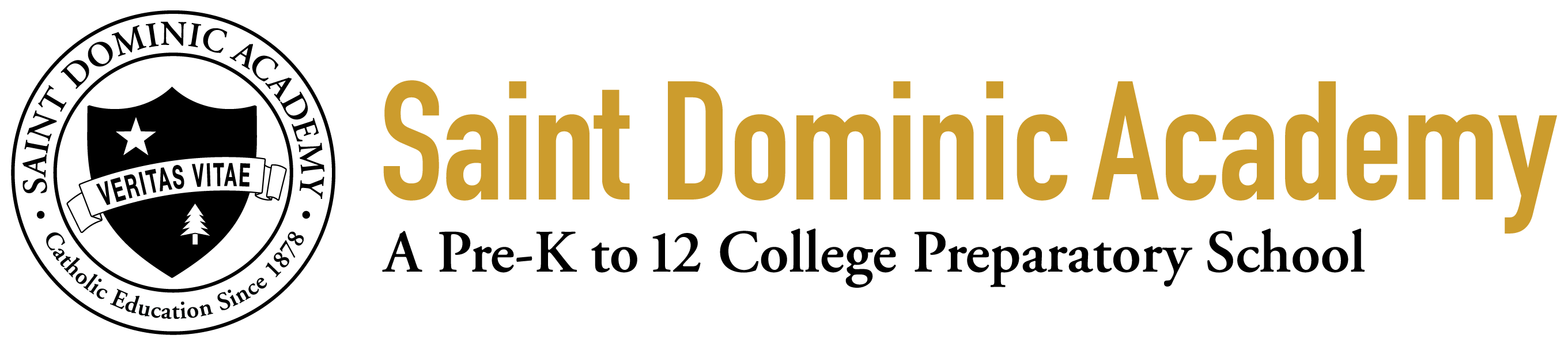 The St. Dom's alumni network on Alumnifire St. Dom’s Connect