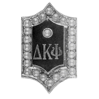 Delta Kappa Psi Alumni profile image