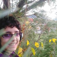 Rj profile image
